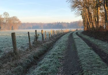 Tour Wandern Mesnil-Roc'h - 14.02.2019 - Lanhélin à Meillac - Photo