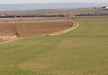 Tocht Andere activiteiten Aubiat - Aubiat - Puy St Jean - Photo