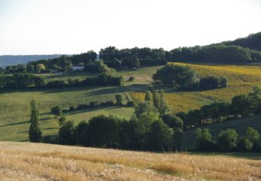 Randonnée Marche Villeneuve-sur-Lot - Villeneuve-sur-Lot / Courbiac, les Bastides en point de mire - Pays de la vallée du Lot - Photo