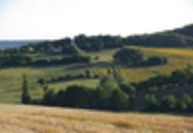 Excursión Senderismo Villeneuve-sur-Lot - Villeneuve-sur-Lot / Courbiac, la Montagne de Cadrès - Pays de la vallée du Lot - Photo