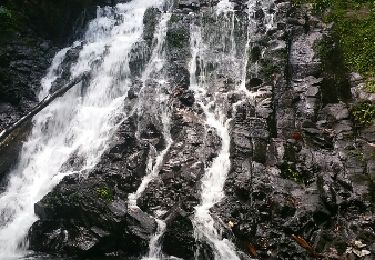 Trail Walking Goyave - bouteiller pas de boucle - Photo