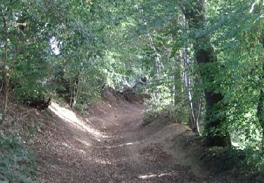 Randonnée Marche Boeschepe - Sentier de l'Ondank Meulen - Boeschèpe - Photo