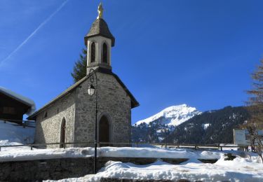 Tocht Sneeuwschoenen Châtel - Randonnée entre la France et la suisse  - Photo