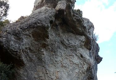 Trail Walking Signes - Le pont naturel et les aiguilles de Valbelle - Photo