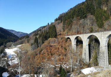 Percorso Marcia Breitnau - titisee - Photo