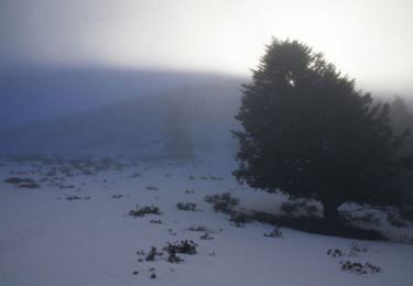 Percorso Racchette da neve Sarrancolin - Cap Nestès - Station de Nistos - Photo