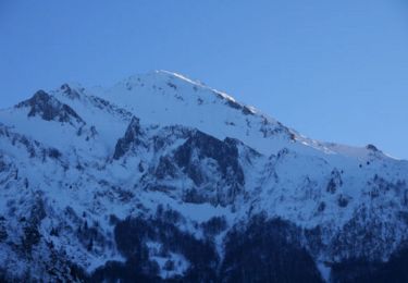 Trail Snowshoes Arrens-Marsous - Arrens - Les Agaus  en raquettes - Photo