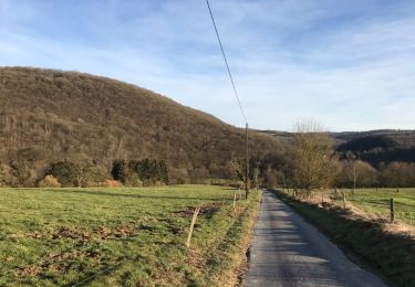 Tocht Stappen Yvoir - mont godinne Meuse Bauge 17,7 km - Photo