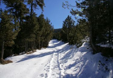 Excursión Raquetas de nieve Sainte-Léocadie - Le Puig d'Estaques en raquettes - Photo