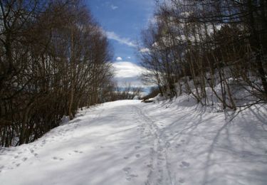 Percorso Racchette da neve Angoustrine-Villeneuve-des-Escaldes - Sant Marti d'Envalls - Photo