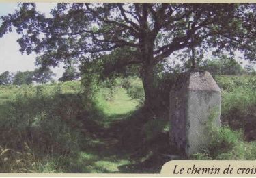 Randonnée Cheval Chalabre - La colline du calvaire - Chalabre - Photo