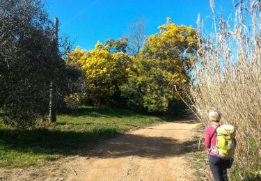 Tocht Stappen Roquebrune-sur-Argens - la Garonnette - Photo