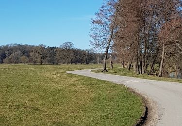 Trail Walking Hotton - melreux, biron, petit-han, fronville - Photo