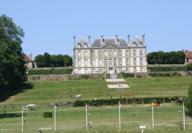 Tocht Stappen Le Pin-au-Haras - Versailles du cheval  - Le Pin au Haras - Photo