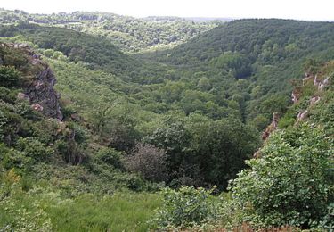 Randonnée Marche Athis-Val-de-Rouvre - Rando botanique  - Ségrie Fontaine  - Photo