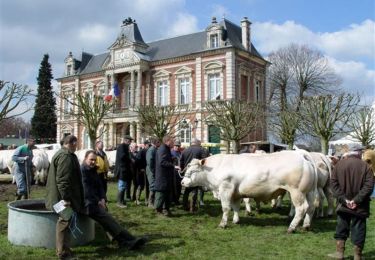 Tocht Paard Grand-Bourgtheroulde - Circuit des Potiers - Bourgtheroulde-Infreville - Photo