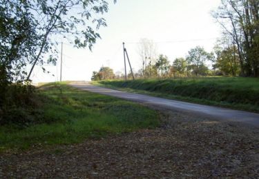 Randonnée Vélo Houeillès - Circuit des Landes de Gascogne -  Houeillès  - Photo