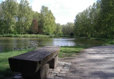 Trail Walking Téteghem-Coudekerque-Village - Circuit du Bois des Forts - Coudekerque - Photo