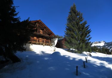Tocht Sneeuwschoenen Châtel - les Québales - Photo