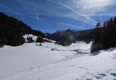 Percorso Racchette da neve Châtel - Col de Morgins - Photo