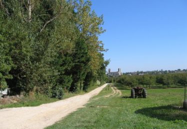 Randonnée Marche La Romieu - En passant par le Marcasson - La Romieu - Photo