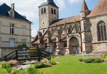 Tour Fahrrad Revigny-sur-Ornain - Les villages martyrs - Revigny-sur-Ornain - Photo