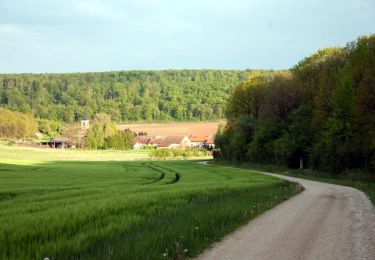 Randonnée Vélo Saint-Mihiel - La vallée de  la Meuse - St-Mihiel - Photo