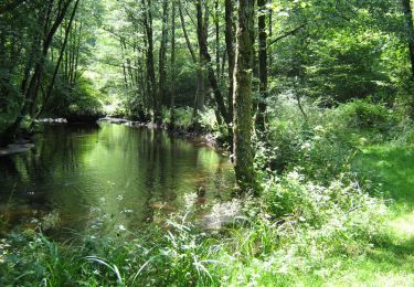 Trail Walking Lignareix - Vie et logis d'antan 8,8 km - Lignareix - Pays de Haute Corrèze - Photo
