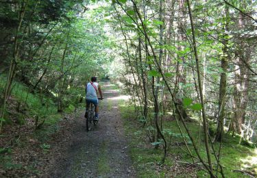 Trail Mountain bike Ussel - Puissance 3 variante - La Tourette - Pays de Haute Corrèze - Photo