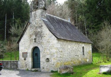 Tour Wandern Combressol - Le chemin des Abbesses 12,6km - Combressol - Pays de Haute Corrèze  - Photo