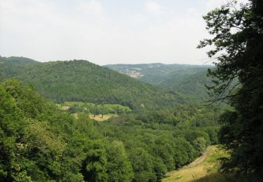 Trail Walking Saint-Hilaire-Peyroux - Des vergers aux berges de la Corrèze - Saint Hilaire Peyroux - Pays de Tulle  - Photo