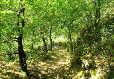 Trail Walking Laguenne-sur-Avalouze - Circuit de la Sainte Bonnette - Saint Bonnet Avalouze - Pays de Tulle  - Photo