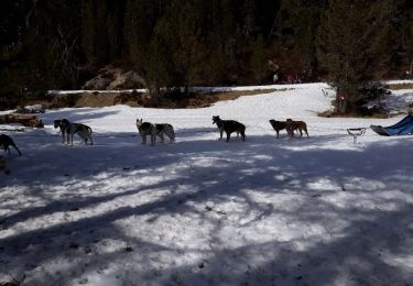 Tour Schneeschuhwandern Albiès - plateau de beille - Photo