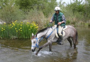 Trail Equestrian Gréoux-les-Bains - Parcours du Lac - Gréoux les Bains - Photo