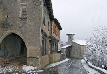 Excursión Caballo Saint-Antoine-de-Ficalba - Saint Antoine de Ficalba, un cheminement vers Doumillac et Cambes - Pays de la vallée du Lot  - Photo