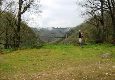 Trail Walking Soursac - Des Gorges de la Dordogne au plateau Soursacois - Soursac - Pays de Haute Corrèze  - Photo