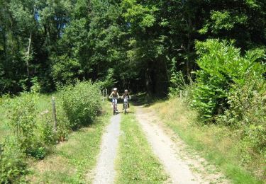 Trail Mountain bike Vignols - Le Bert - Vignols - Pays Vézère Auvézère - Photo