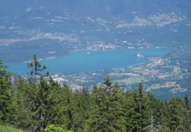 Tocht Fiets Annecy - Le tour du lac d'Annecy - Photo