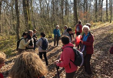 Randonnée Autre activité Prugny - rando vauchassis RV prugnu 21.03.19 en sens inverse - Photo