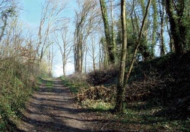 Trail Walking Vernon - Randonnée entre Seine et Forêt - Vernon - Photo