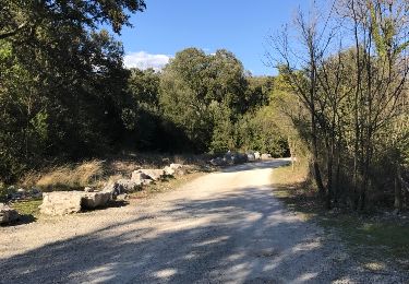 Percorso Altra attività Brissac - St Bauzille et les bords de l'he´rault  - Photo