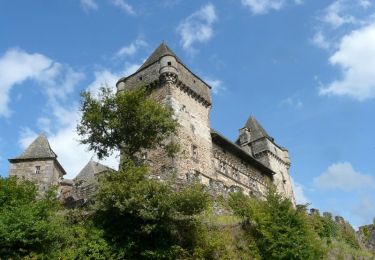 Tocht Stappen Cros-de-Ronesque - Le Château de Messilhac - Cros de Ronesque - Photo