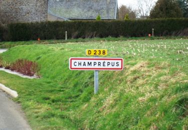 Tocht Stappen Villedieu-les-Poêles-Rouffigny - Sur les traces des pèlerins 28km - Villedieu les Poëles - Photo