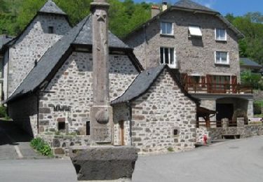 Tour Wandern Saint-Jacques-des-Blats - Le Puy Griou - Saint Jacques des Blats - Photo