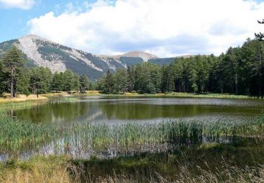 Randonnée Marche Bayons - Le lac de Monges - Esparron la Batie  - Photo