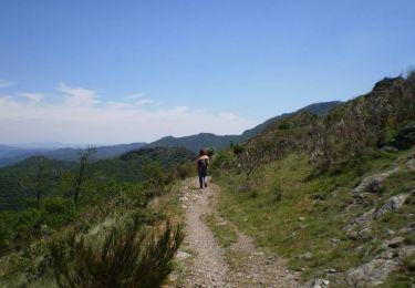 Trail Walking Les Plantiers - Sentier du Mouflon - Les Plantiers  - Photo