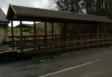 Tocht Stappen Court-Saint-Étienne - Autour du Chenoy - Photo