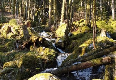 Tour Andere Aktivitäten Stoßweier - Stosswihr Falimont  - Photo