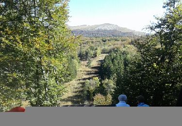 Trail Walking Omblèze - Brême du cerf - Photo