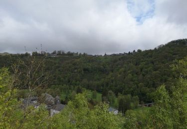 Tour Wandern Bouillon - rochehaut - sentier crêtes frahan- roche des corbeaux - Photo